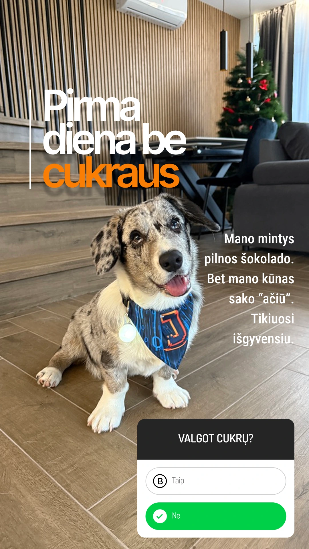Nuotrauka po AI apdorojimo su teksto perdengimais
